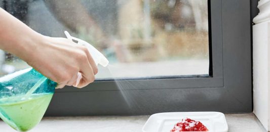 Truques caseiros para acabar com as formigas na cozinha