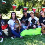 Brechó do Chicão precisa muito de sua ajuda!