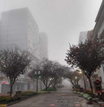 Frio e neblina marcam o amanhecer em Bento Gonçalves