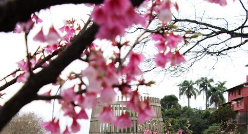 Guias de turismo deixam um recado para os visitantes da Serra Gaúcha