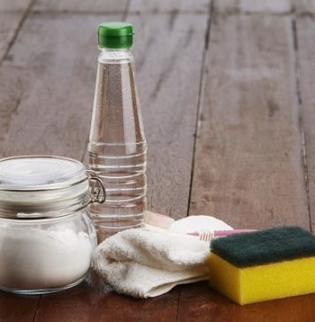 Limpeza ecológica: o poder do vinagre
