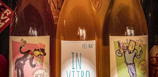 Projeto da Vinhas do Tempo nasceu do interesse do consumidor por vinhos orgânicos e naturais