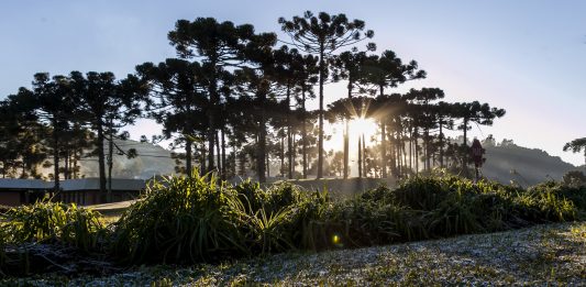 Turismo, que demitiu 4,3 mil no RS, cria comitê para retomada das atividades