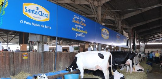 Santa Clara participa da Expointer