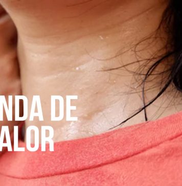 5 dicas para diminuir o calor em casa com itens de decoração