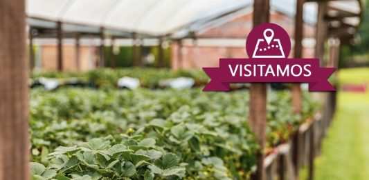 Guia Bento: Visitamos