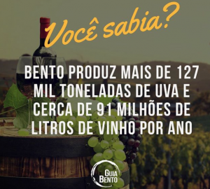 Guia Bento: Curiosidade
