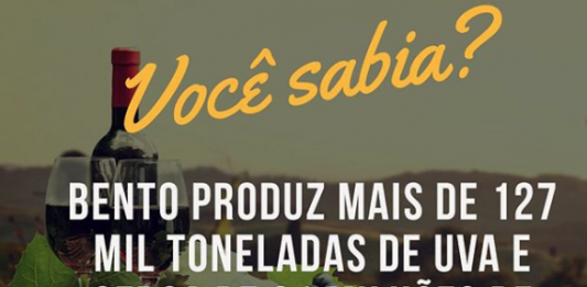 Guia Bento: Curiosidade