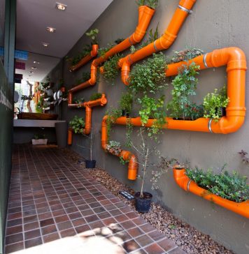 Aprenda a montar um jardim vertical gastando pouco