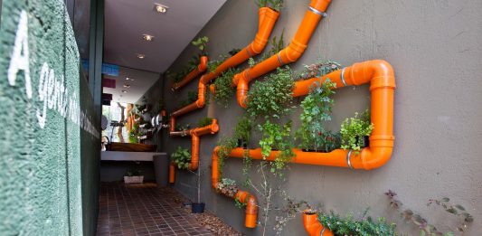 Aprenda a montar um jardim vertical gastando pouco