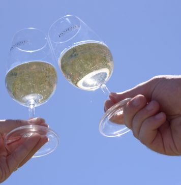 Altos Montes coleta amostra da primeira safra de vinhos com selo de Indicação de Procedência