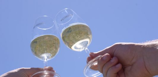 Altos Montes coleta amostra da primeira safra de vinhos com selo de Indicação de Procedência