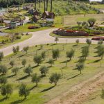 Oliveiras em Gramado. Foto: Cristiano Carmel