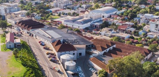 Vinícola Garibaldi prevê investimento de R$ 10 milhões