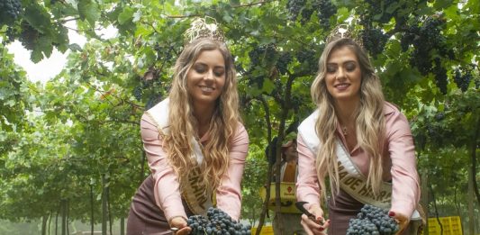 Fenavinho lança documentário sobre produção do Vinho da Corte