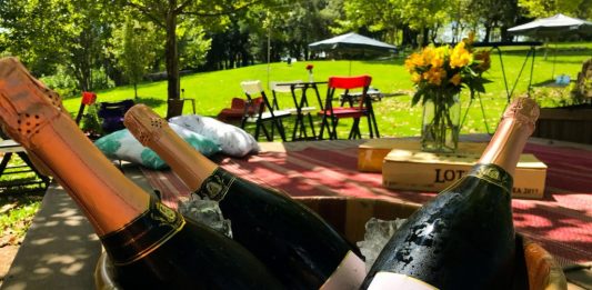Miolo Wine Group: Patrimônio engarrafado