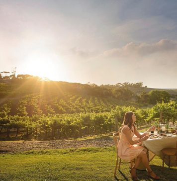 Bom e barato: Conheça o vinho gaúcho premiado na França que custa R$ 35