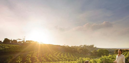 Bom e barato: Conheça o vinho gaúcho premiado na França que custa R$ 35