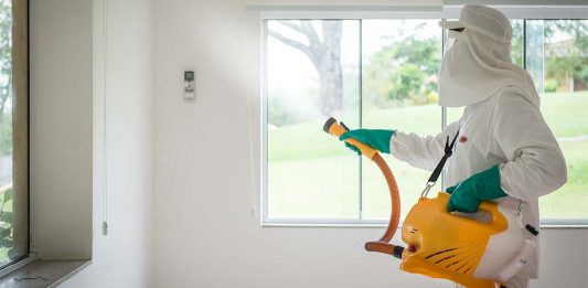 Maria Brasileira oferece serviços de sanitização e desinfecção no combate ao coronavírus