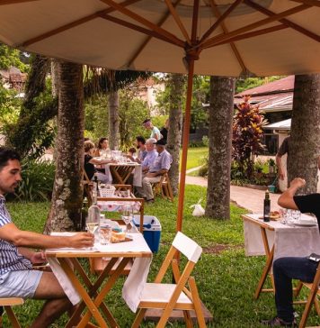 Enoturismo: Experiências privativas e ao ar livre são apostas para enfrentar pandemia