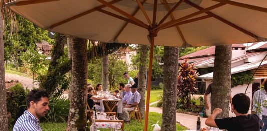 Enoturismo: Experiências privativas e ao ar livre são apostas para enfrentar pandemia