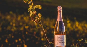 Bella Wines estreia no mercado com o lançamento do primeiro espumante brasileiro com colágeno