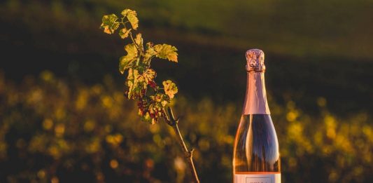 Bella Wines estreia no mercado com o lançamento do primeiro espumante brasileiro com colágeno