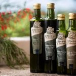 Azeite gaúcho é o melhor do hemisfério sul