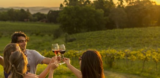 Dia do Vinho: 12 influencers numa live cheia de sentidos e histórias