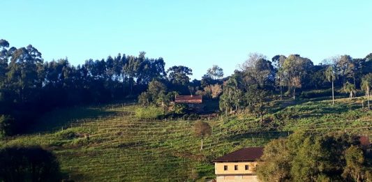 Caxias do Sul lança primeiro roteiro para fomentar turismo local