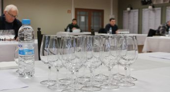 Inscrições abertas para a 19ª Seleção dos melhores vinhos, sucos e espumantes de Garibaldi