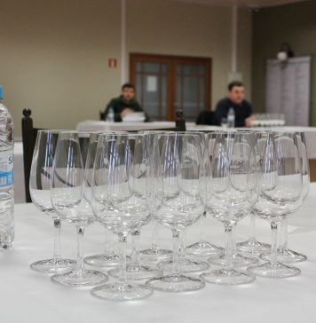 Inscrições abertas para a 19ª Seleção dos melhores vinhos, sucos e espumantes de Garibaldi