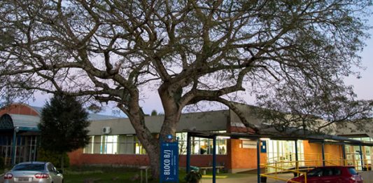 Aprovada em primeiro lugar em Medicina na UCS indica revisão de conteúdos para às vésperas do vestibular