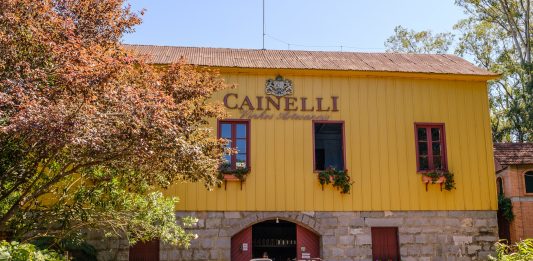 Wine South America promove Circuito do Vinho inédito que contempla visitas a 14 vinícolas da Serra Gaúcha