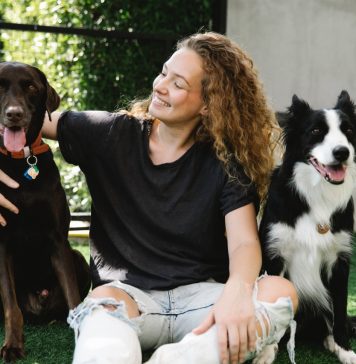 Pet Friendly: conheça lugares na Serra Gaúcha que aderiram a modalidade