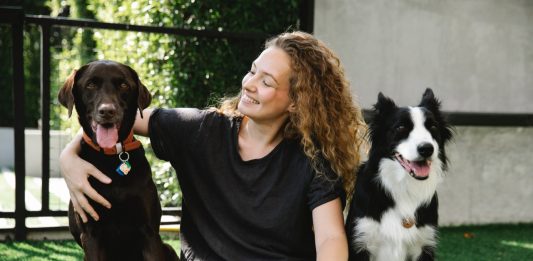 Pet Friendly: conheça lugares na Serra Gaúcha que aderiram a modalidade