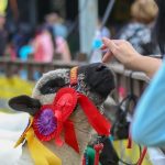 Uma Expointer diferente: saiba como serão os protocolos sanitários dentro da maior feira agropecuária da América Latina