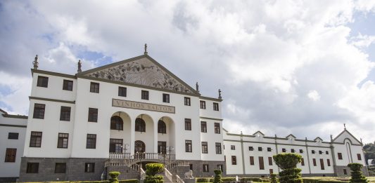 Família Salton chega aos 111 anos focada nos pilares de inovação, tecnologia e sustentabilidade