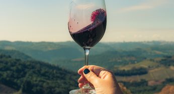 Venda de vinhos e espumantes cresce 19% no Brasil no acumulado de 12 meses