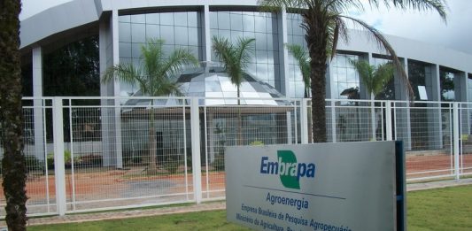 Embrapa é a primeira colocada na categoria agronegócio do ranking Top Open Corps