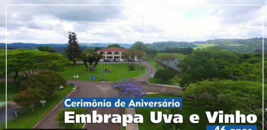 Embrapa Uva e Vinho comemora 46 anos nesta quinta-feira em evento virtual