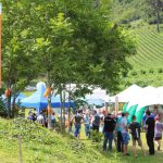 4ª Tecnovitis reúne cadeia produtiva da viticultura em dezembro