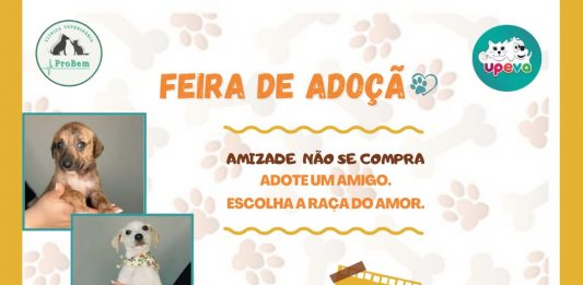 Feira de adoção de animais em prol da Ong de Flores da Cunha