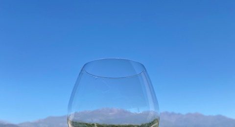 Foto: Divulgação Vinicola Zuccardi