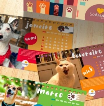 Chegou o Calendário 2022 da SOAMA