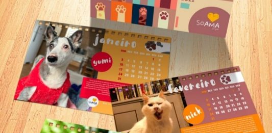 Chegou o Calendário 2022 da SOAMA