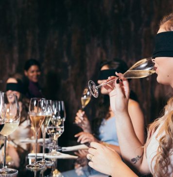 Visitas ganham em qualidade e aumentam rentabilidade no enoturismo