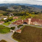 Ouro para Miolo, Seival e Terranova