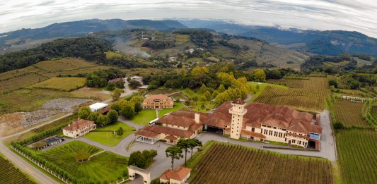 Ouro para Miolo, Seival e Terranova
