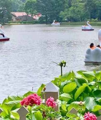 Lago com Pedalinhos. Foto: Cláudio Weber